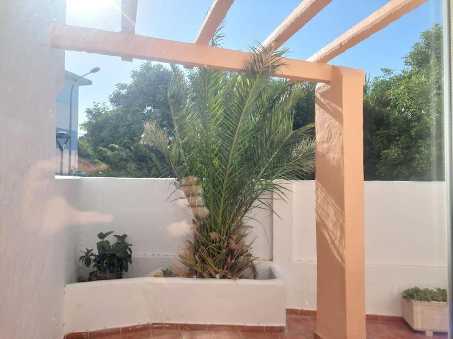 Piscina, Wifi, Patio Con Vistas Apartment Тарифа Екстериор снимка