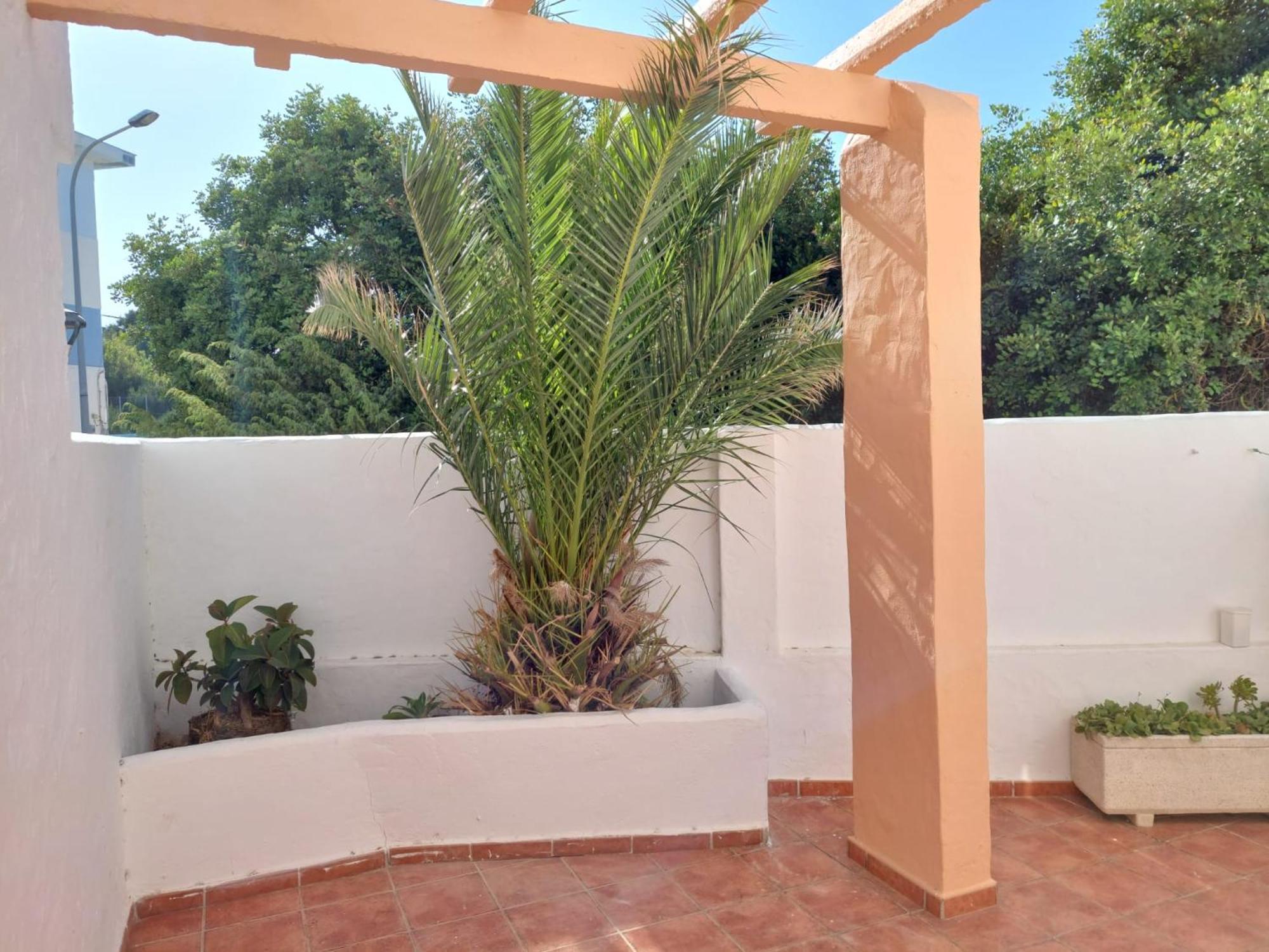 Piscina, Wifi, Patio Con Vistas Apartment Тарифа Екстериор снимка