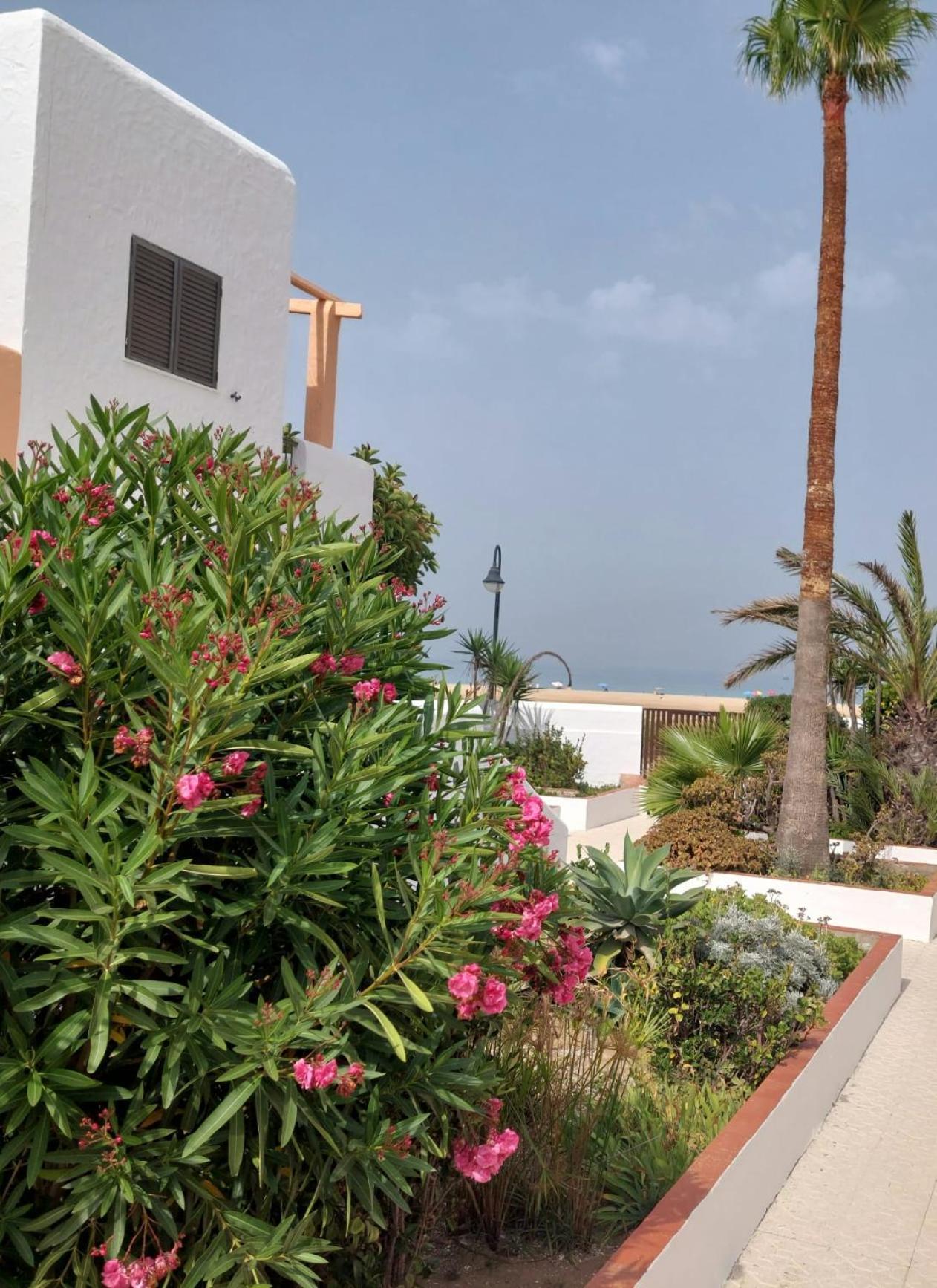 Piscina, Wifi, Patio Con Vistas Apartment Тарифа Екстериор снимка